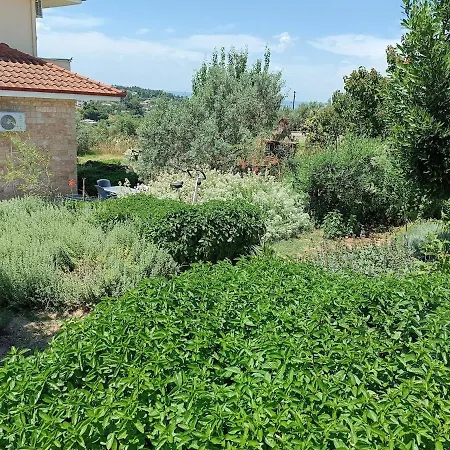 Vilă The With The Aromatic Herbs
