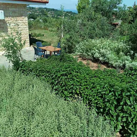 Vilă The With The Aromatic Herbs *