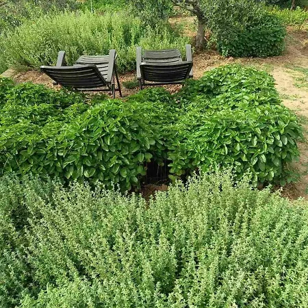 Vilă The With The Aromatic Herbs Agia Triada (Thessaloniki)