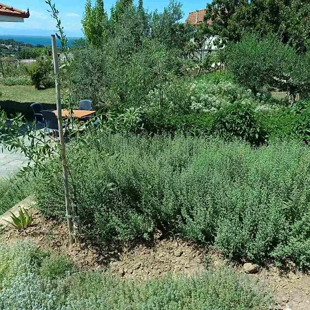 The With The Aromatic Herbs Agia Triada (Thessaloniki)