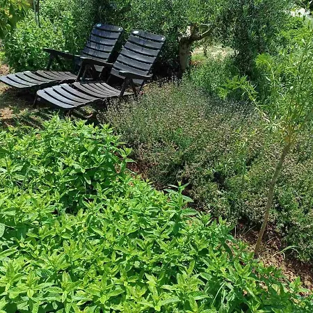 The With The Aromatic Herbs Vilă
