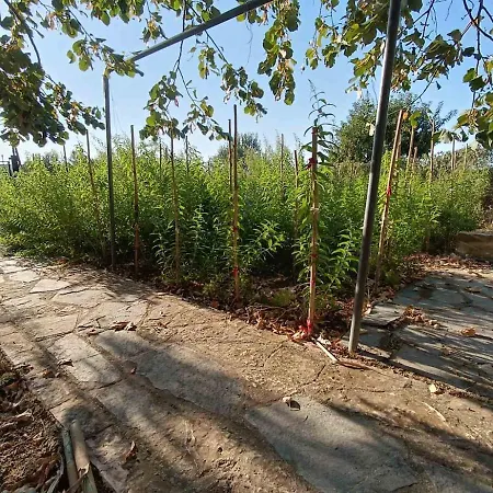 The With The Aromatic Herbs Vilă Agia Triada (Thessaloniki)