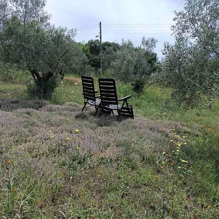 Vilă The With The Aromatic Herbs
