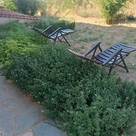 Villa The With The Aromatic Herbs *