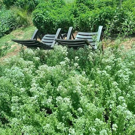 The With The Aromatic Herbs Villa Agia Triada (Thessaloniki)