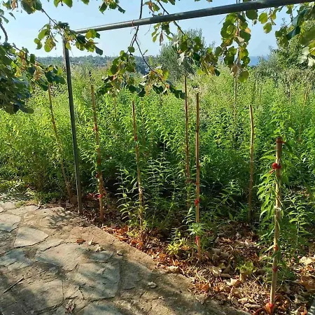 The With The Aromatic Herbs Vilă Agia Triada (Thessaloniki)