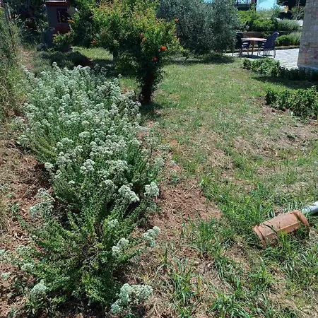 The With The Aromatic Herbs Agia Triada (Thessaloniki)