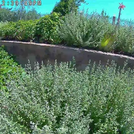 The With The Aromatic Herbs * Agia Triada (Thessaloniki)