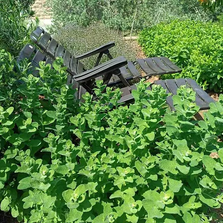 Villa The With The Aromatic Herbs Agia Triada (Thessaloniki)