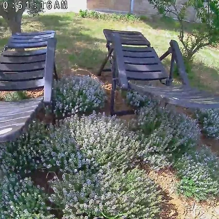 The With The Aromatic Herbs Vilă Agia Triada (Thessaloniki)