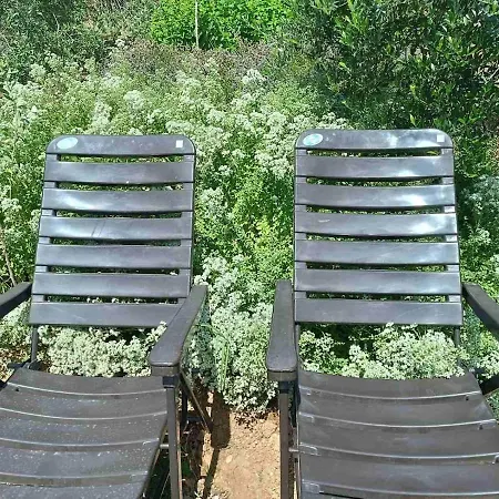 Vilă The With The Aromatic Herbs *