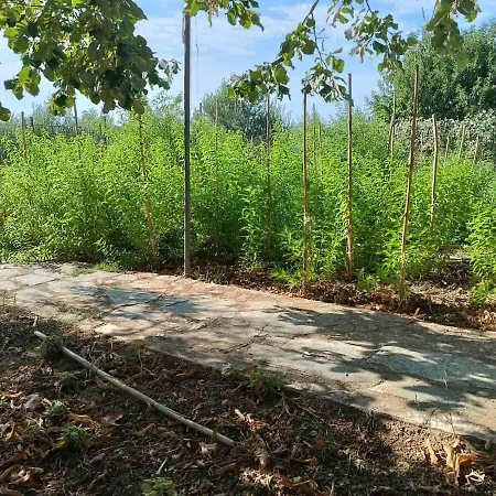 The With The Aromatic Herbs Vilă