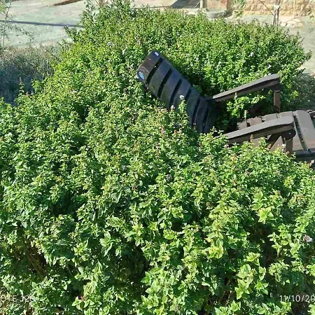 Villa The With The Aromatic Herbs Agia Triada (Thessaloniki)
