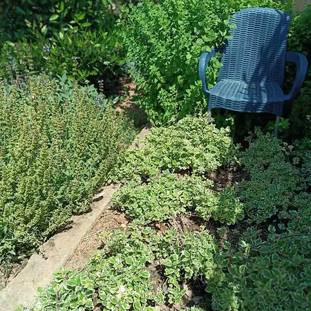 The With The Aromatic Herbs