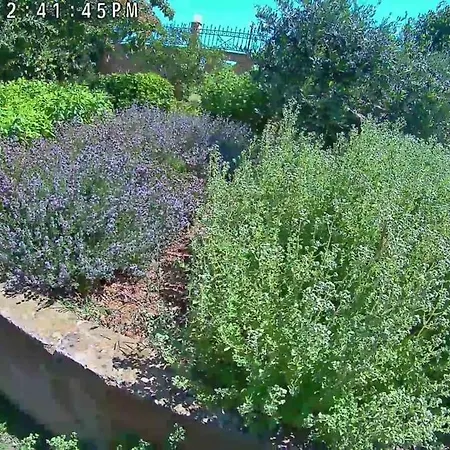 Vilă The With The Aromatic Herbs *